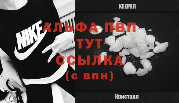 стафф Касимов