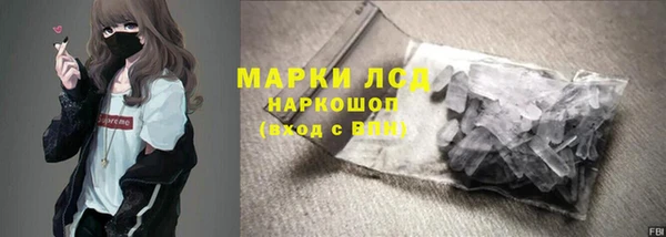 стафф Касимов