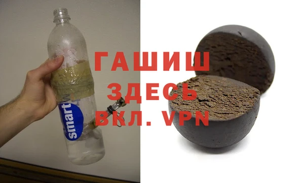стафф Касимов
