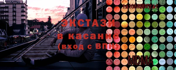 стафф Касимов