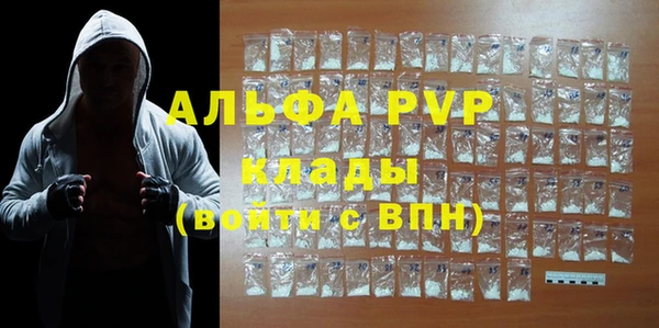 стафф Касимов