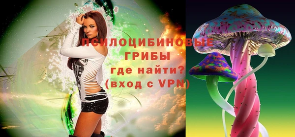 стафф Касимов