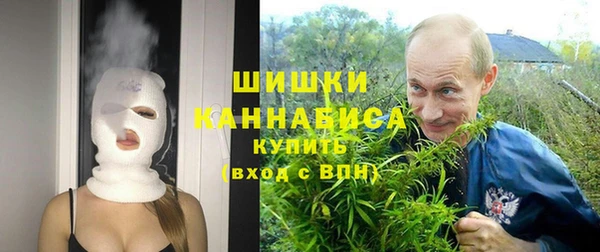 стафф Касимов