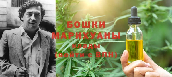 стафф Касимов